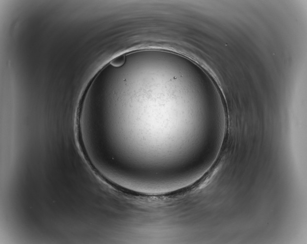 X0000088911533200706081332