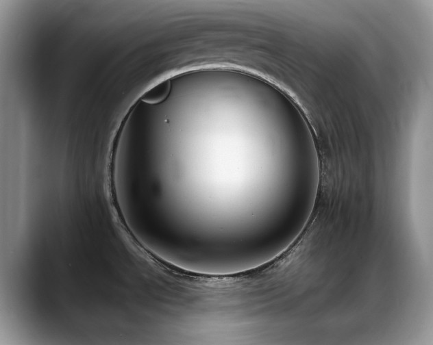 X0000088911534200706081332