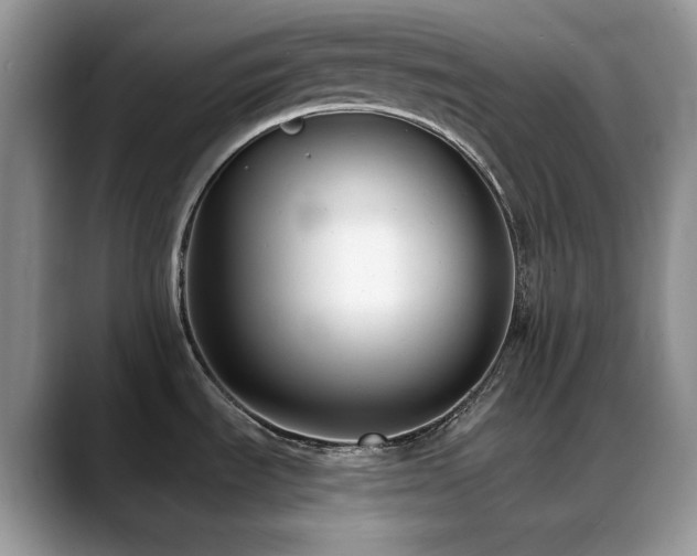 X0000088911535200706081332