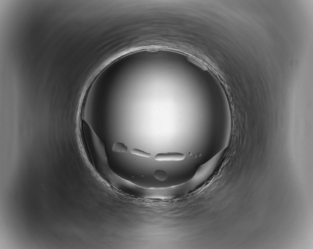 X0000088911536200706081332