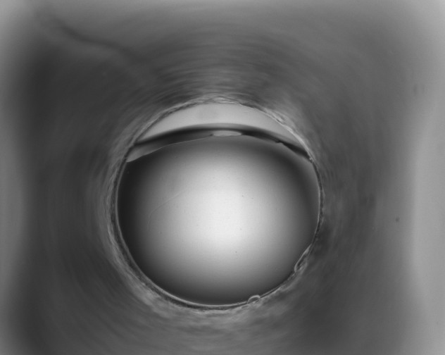 X0000088910001200706151915
