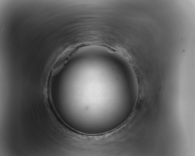 X0000088910002200706151915