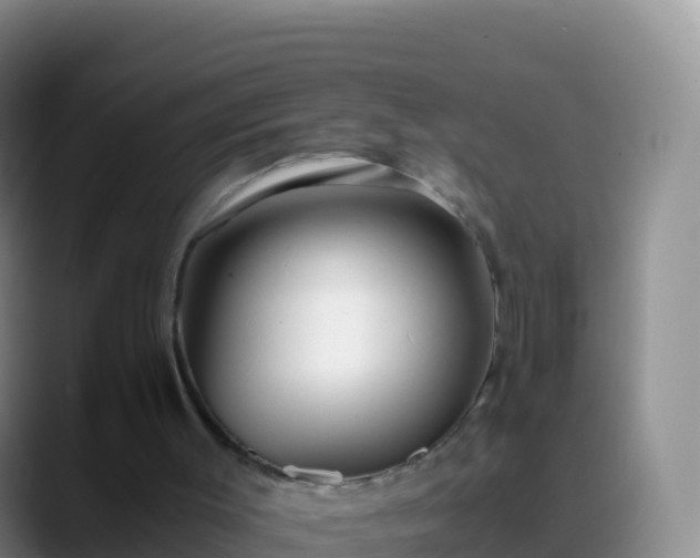 X0000088910003200706151915