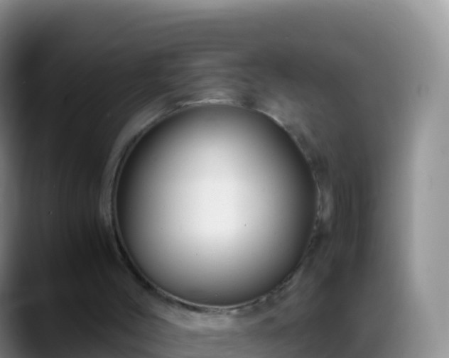 X0000088910004200706151915