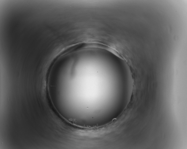 X0000088910005200706151915