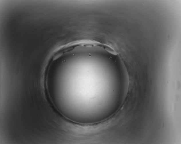 X0000088910006200706151915