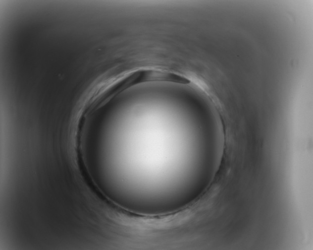 X0000088910007200706151915