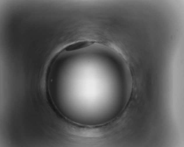 X0000088910008200706151915
