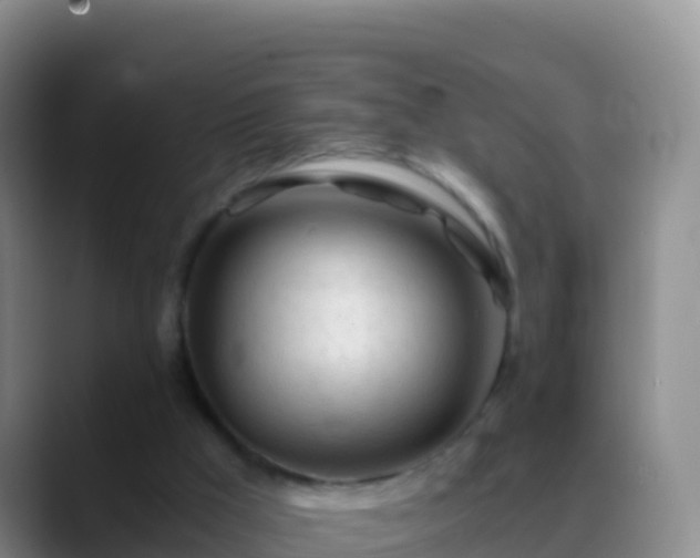 X0000088910009200706151915