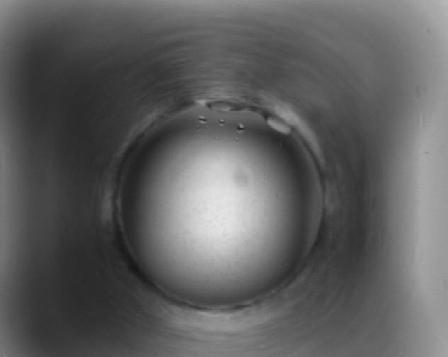 X0000088910010200706151915