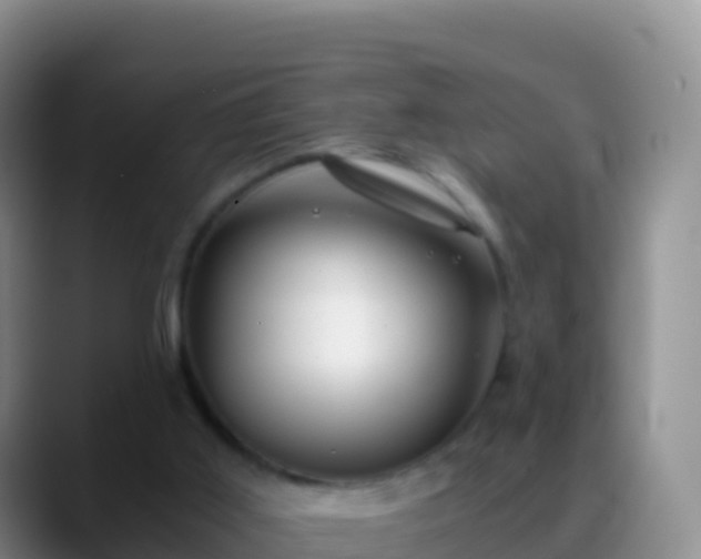 X0000088910011200706151915