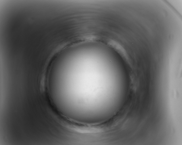 X0000088910012200706151915