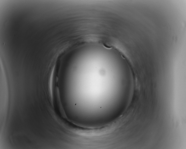 X0000088910013200706151915