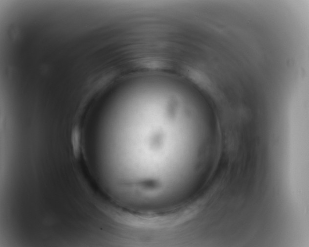 X0000088910014200706151915