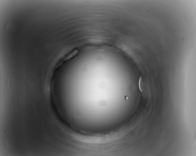 X0000088910015200706151914