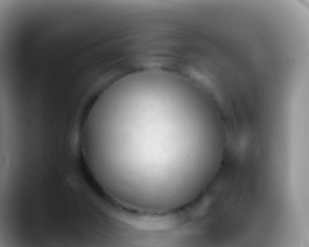 X0000088910016200706151914