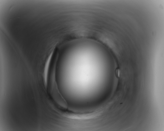 X0000088910017200706151914