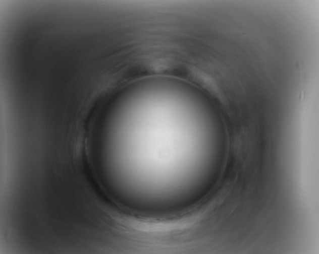 X0000088910018200706151914