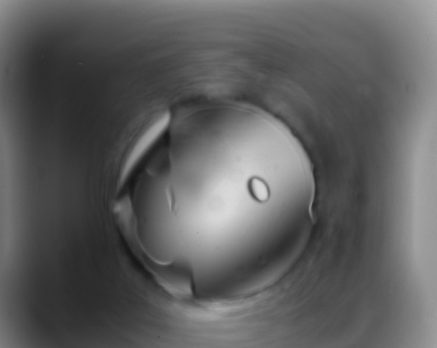 X0000088910019200706151914