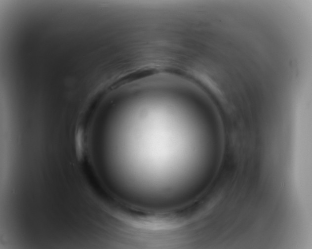 X0000088910020200706151914