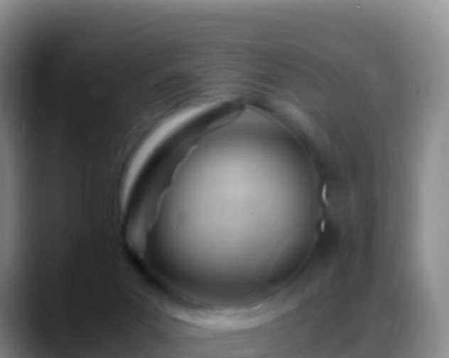 X0000088910023200706151914