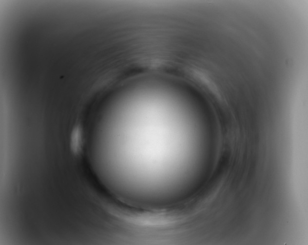 X0000088910024200706151914