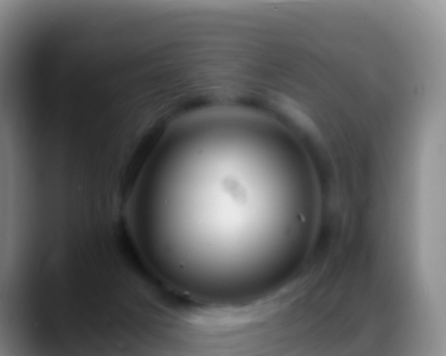 X0000088910025200706151914