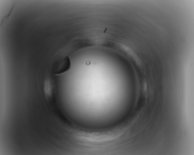 X0000088910026200706151914