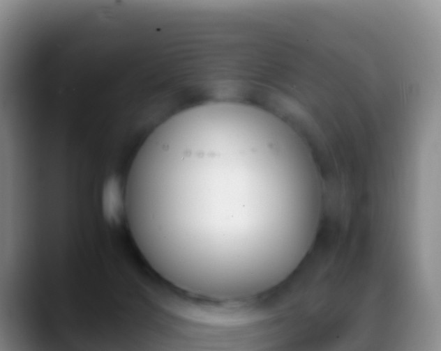 X0000088910028200706151914