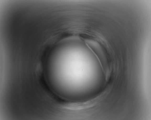 X0000088910029200706151914