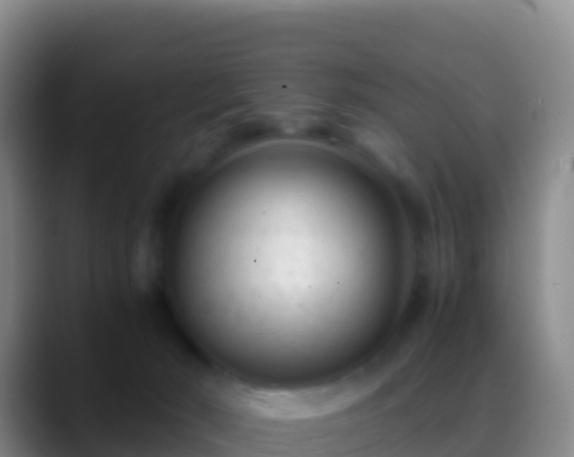 X0000088910030200706151914