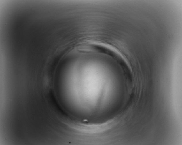 X0000088910031200706151914