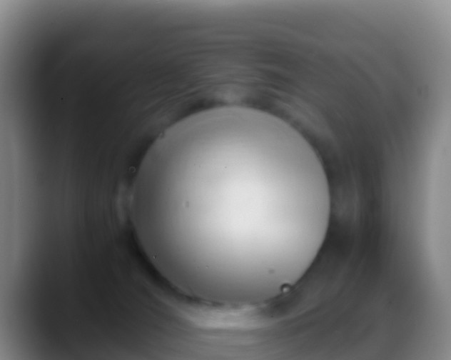 X0000088910036200706151914