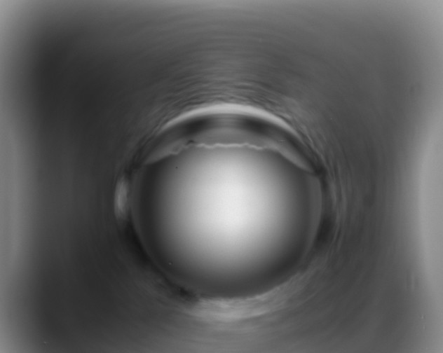X0000088910041200706151914