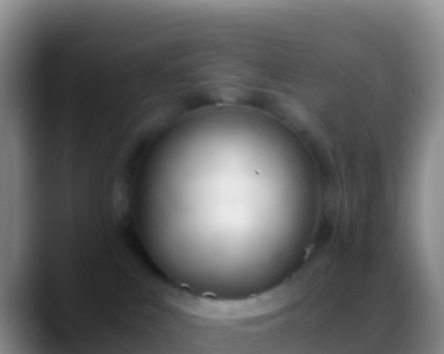 X0000088910043200706151914
