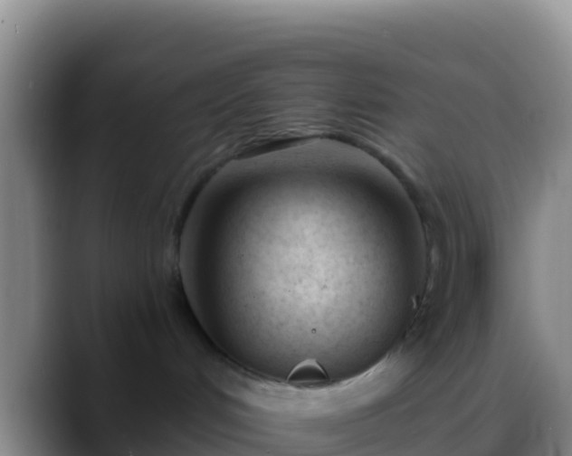 X0000088910048200706151914