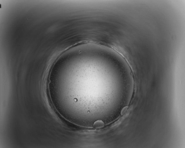 X0000088910049200706151913