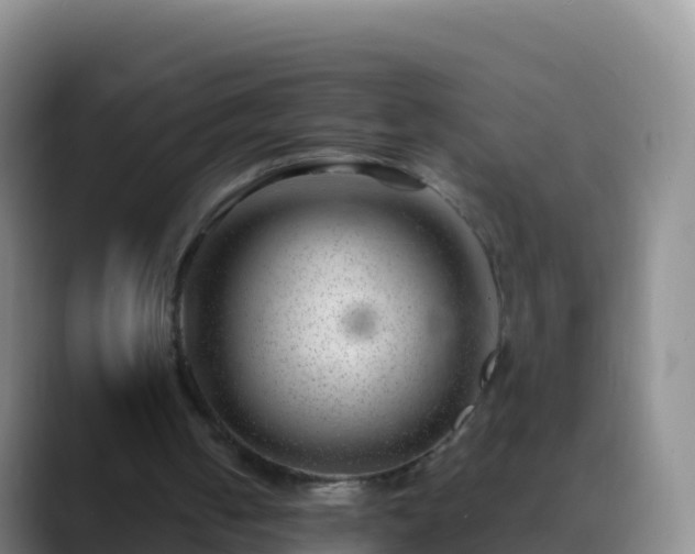 X0000088910050200706151913