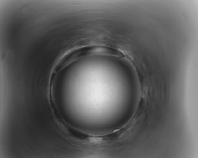 X0000088910052200706151913