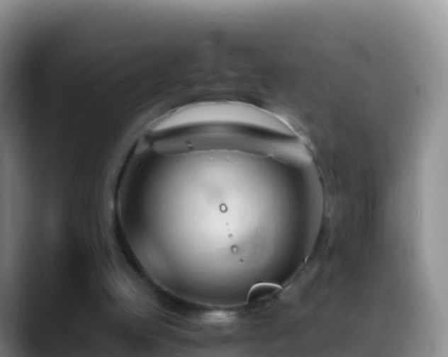 X0000088910053200706151913