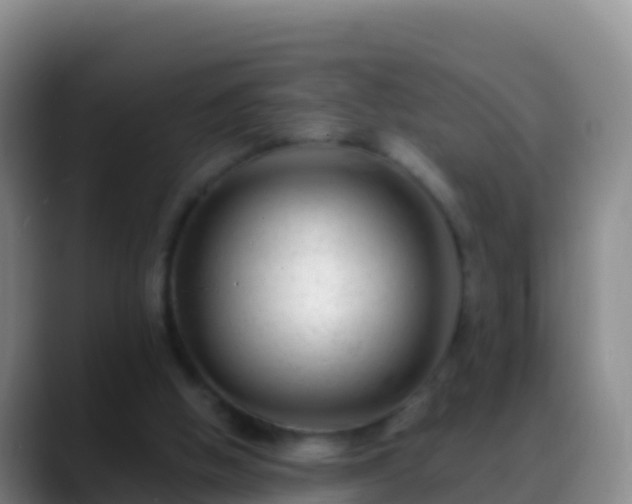 X0000088910058200706151913