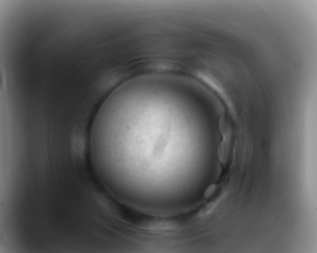 X0000088910063200706151914