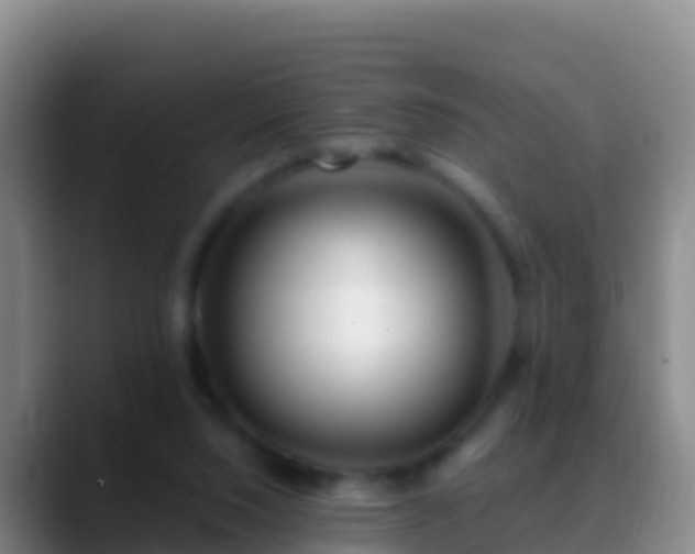 X0000088910064200706151914
