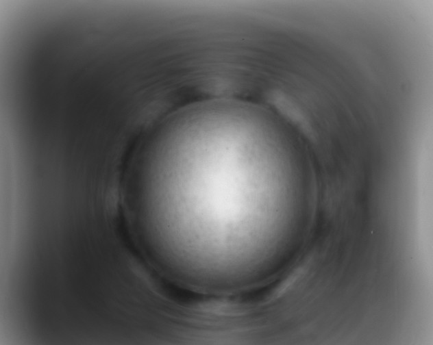 X0000088910065200706151914