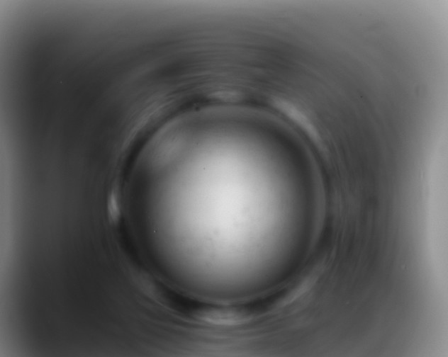 X0000088910069200706151914