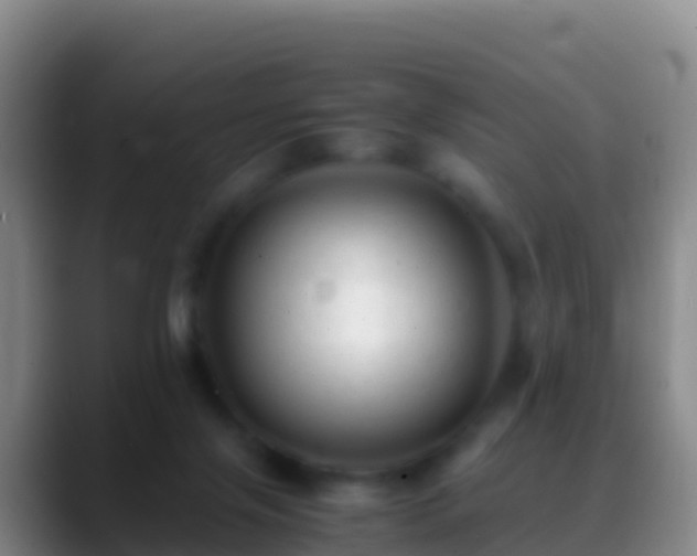 X0000088910071200706151914
