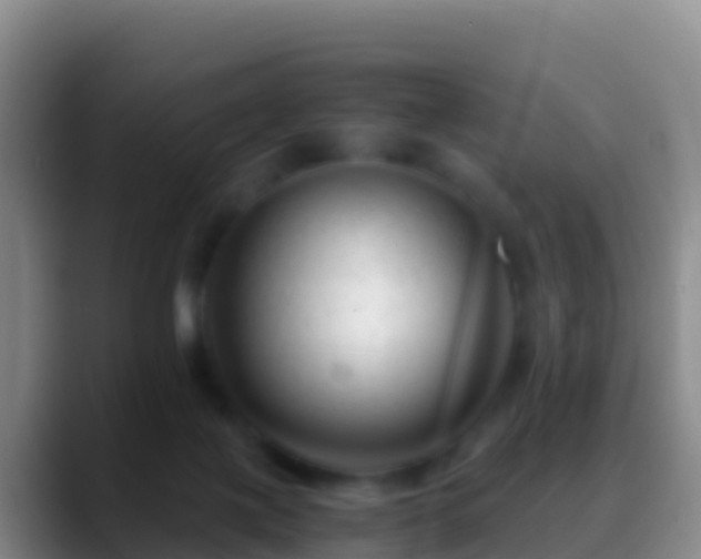 X0000088910075200706151914