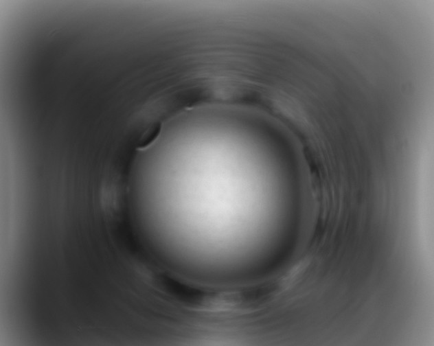 X0000088910078200706151914