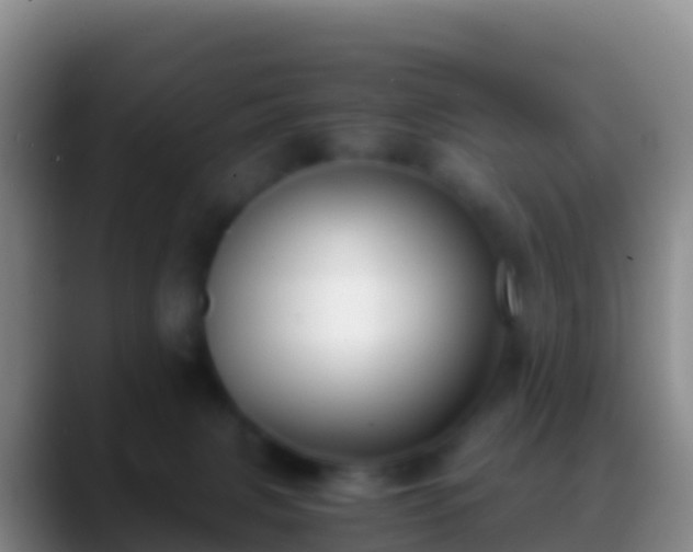 X0000088910079200706151914