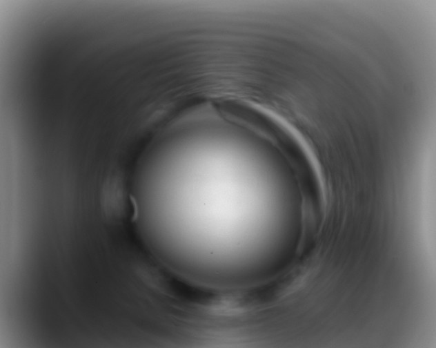 X0000088910080200706151914